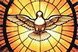 Dove